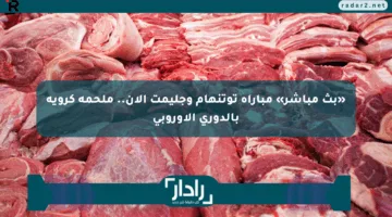 «بث مباشر» مباراة توتنهام وجليمت الآن.. ملحمة كروية بالدوري الأوروبي